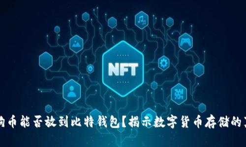 狗狗币能否放到比特钱包？揭示数字货币存储的真相