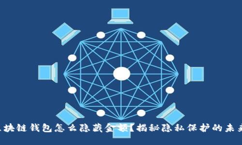 区块链钱包怎么隐藏金额？揭秘隐私保护的未来！