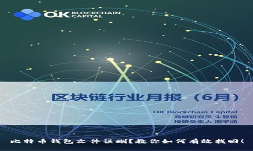 比特币钱包文件误删？教你如何有效找回！