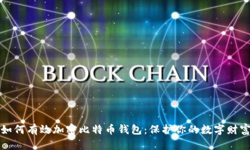 如何有效加密比特币钱包：保护你的数字财富