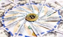 在讨论虚拟币钱包的提现