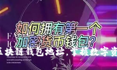 轻松批量生成区块链钱包地址，掌握数字资产的未来密码！