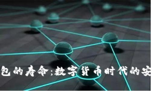 比特币钱包的寿命：数字货币时代的安全与策略