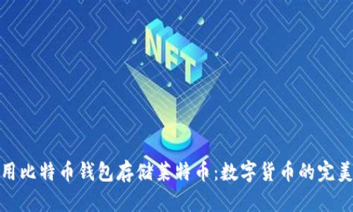 如何用比特币钱包存储莱特币：数字货币的完美结合