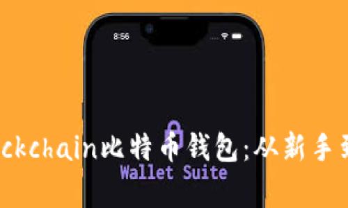 如何安全下载Blockchain比特币钱包：从新手到专家的终极指南