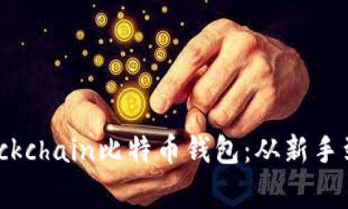 如何安全下载Blockchain比特币钱包：从新手到专家的终极指南