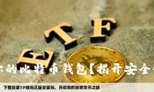 如何选择最适合你的比特币钱包？揭开安全性与便利性的秘密