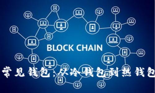 了解区块链常见钱包：从冷钱包到热钱包的全面解析