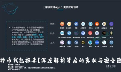 比特币钱包报毒？深度解析背后的真相与安全隐患