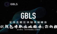 如何安全地从钱包中取出