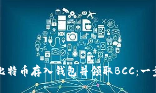 如何将比特币存入钱包并领取BCC：一步步指南