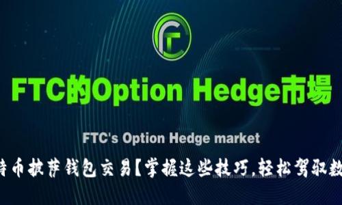如何加速比特币披萨钱包交易？掌握这些技巧，轻松驾驭数字货币世界！