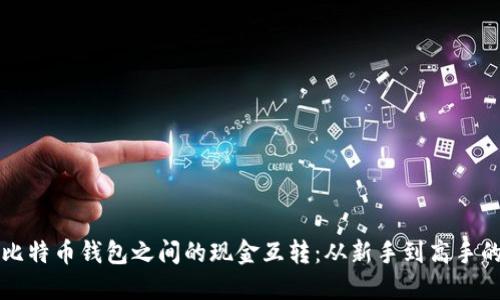 轻松实现比特币钱包之间的现金互转：从新手到高手的实用指南