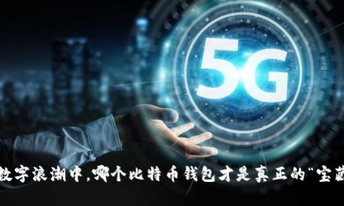 在数字浪潮中，哪个比特币钱包才是真正的“宝藏”？