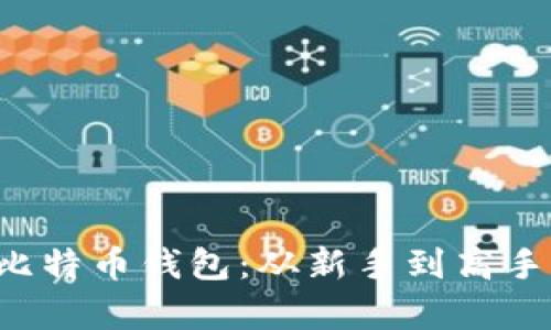 如何安全保存你的比特币钱包：从新手到高手，你不可忽视的技巧