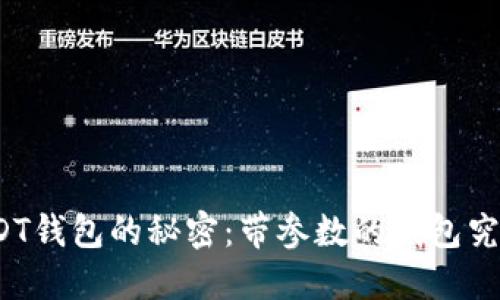 探索USDT钱包的秘密：带参数的钱包究竟何如？
