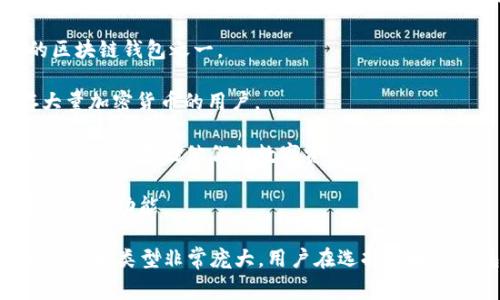 区块链钱包不是由某一家公司独立开发的，而是由多个公司和开发者团队共同创造和维护的。区块链钱包的类型和功能多种多样，包括软件钱包、硬件钱包和线上钱包等。

一些知名的区块链钱包公司和项目包括：

1. **Coinbase**：除了提供买卖加密货币的服务，Coinbase 还提供一个流行的在线钱包，方便用户存储和管理他们的加密资产。

2. **Blockchain.com**：提供多种加密货币的钱包服务，是最早且最知名的区块链钱包之一。

3. **Trezor**：一家专注于硬件钱包的公司，以安全性著称，适合需要储存大量加密货币的用户。

4. **Ledger**：另一家知名的硬件钱包制造商，提供多种型号的设备，帮助用户安全存储他们的数字资产。

5. **Exodus**：一个用户友好的软件钱包，支持多种加密货币，并提供内置的交易功能。

由于区块链技术的开放性，任何开发者都可以创建自己的钱包，因此钱包的数量和类型非常庞大。用户在选择区块链钱包时，应考虑安全性、操作友好性、支持的币种，以及是否符合自己的需求。