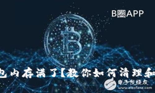 比特币钱包内存满了？教你如何清理和钱包空间！