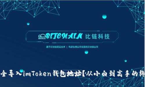 如何安全导入imToken钱包地址？从小白到高手的终极指南