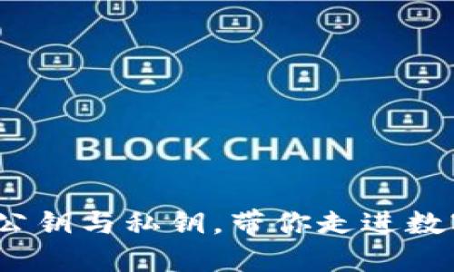 区块链钱包：解密公钥与私钥，带你走进数字货币的安全世界