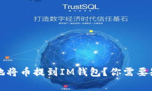如何安全地将币提到IM钱包？你需要知道的事...