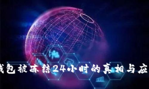 USDT钱包被冻结24小时的真相与应对策略