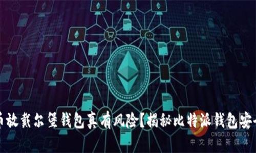比特币放戴尔堡钱包真有风险？揭秘比特派钱包安全隐忧