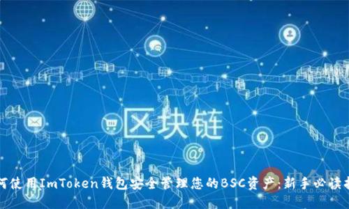 如何使用ImToken钱包安全管理您的BSC资产：新手必读指南