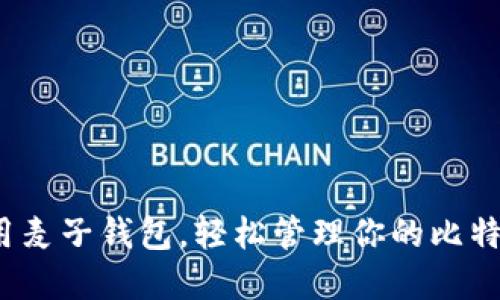 如何利用麦子钱包，轻松管理你的比特币资产？