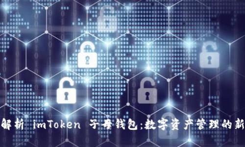 全面解析 imToken 子母钱包：数字资产管理的新趋势