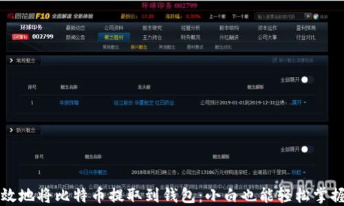 
如何安全高效地将比特币提取到钱包：小白也能轻松掌握的操作指南