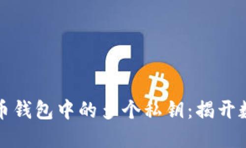 如何安全导出比特币钱包中的多个私钥：揭开数字货币背后的秘密