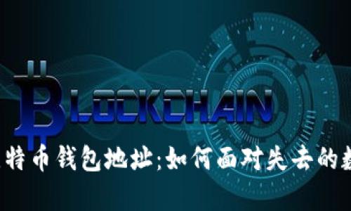 “丢失的比特币钱包地址：如何面对失去的数字财富？”