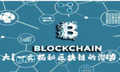 “钱包太大？一文揭秘区块链的潜力与挑战！”