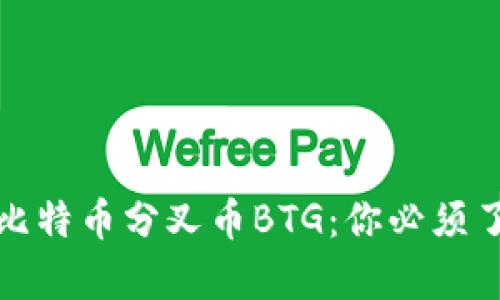 如何安全存储比特币分叉币BTG：你必须了解的钱包选择