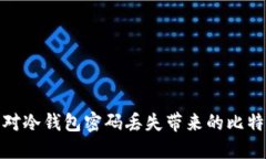 如何应对冷钱包密码丢失