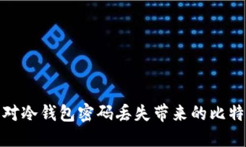 如何应对冷钱包密码丢失带来的比特币损失