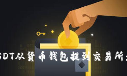 如何将USDT从货币钱包提到交易所：全面指南