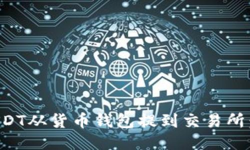 如何将USDT从货币钱包提到交易所：全面指南