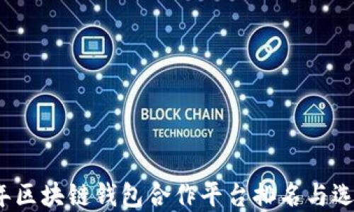 
2023年区块链钱包合作平台排名与选择指南