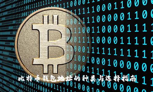 比特币钱包地址的种类与选择指南