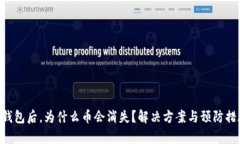  导入IM钱包后，为什么币