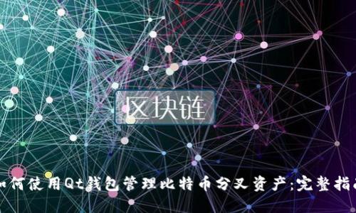 如何使用Qt钱包管理比特币分叉资产：完整指南